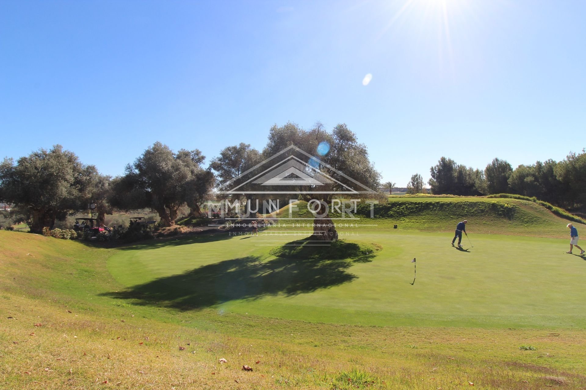 Obra nueva - Bungalows -
Algorfa - Club de Golf La Finca - Algorfa