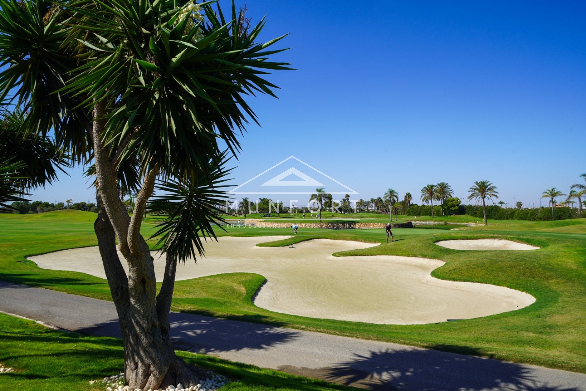 Obra nueva - Bungalows -
San Javier - Roda Golf Resort