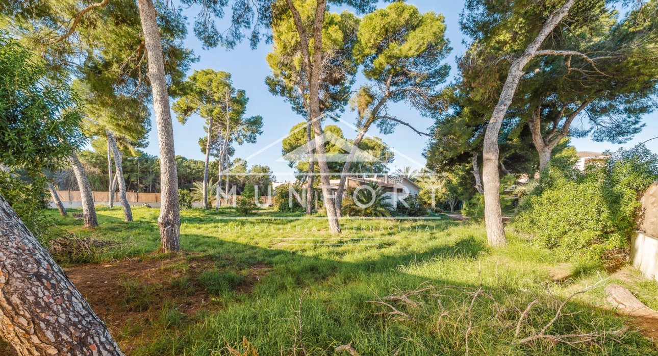 Obra nueva - Villas -
Lo Pagán