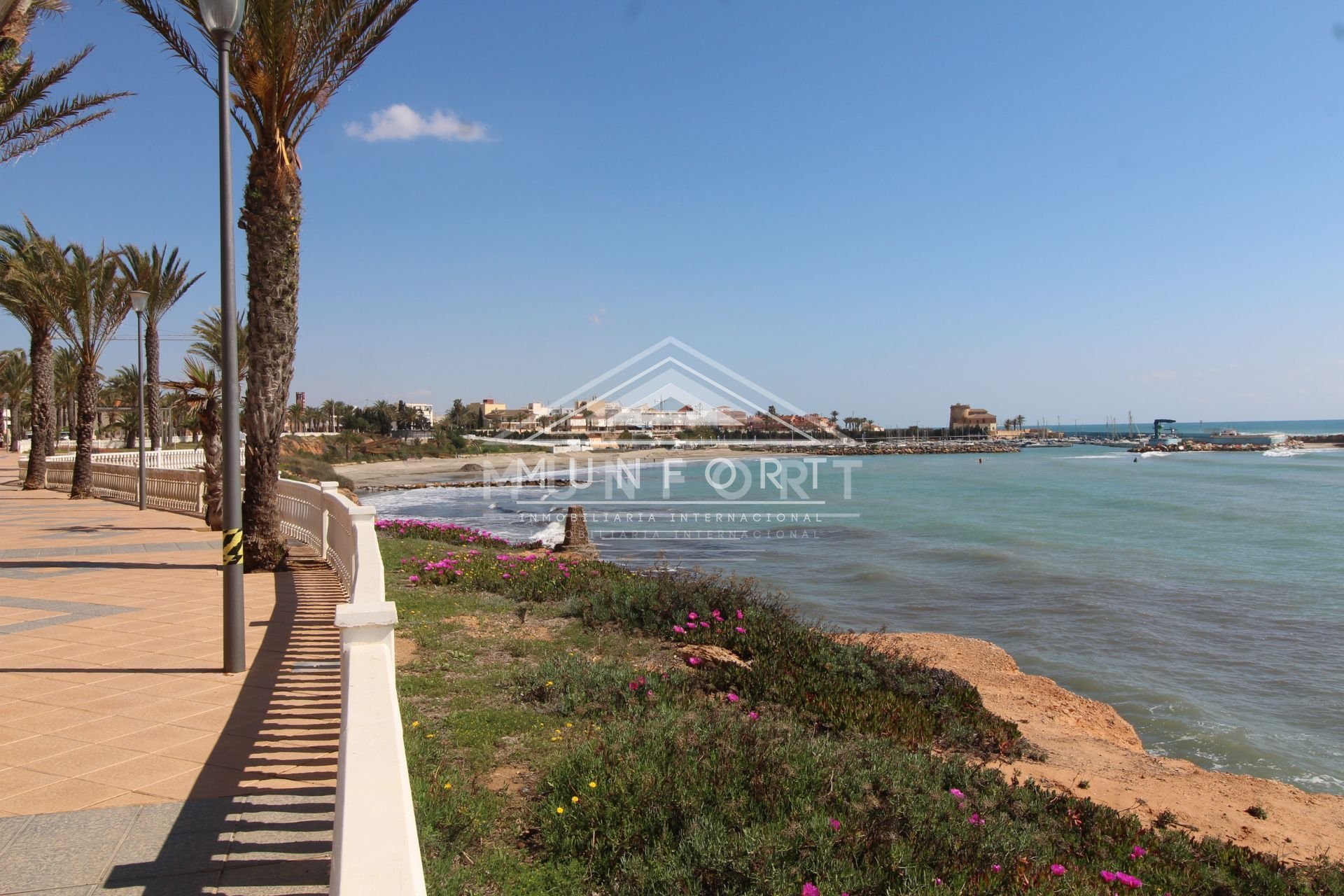 Obra nueva - Villas -
Pilar de la Horadada - Mil Palmeras