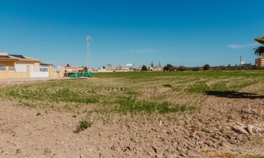 Parcelles - Revente - Alcázares, Los -
                Las Lomas del Rame