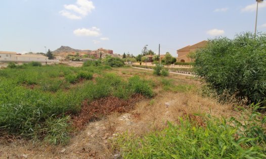 Parcelles - Revente -
            Los Urrutias - IN-V429