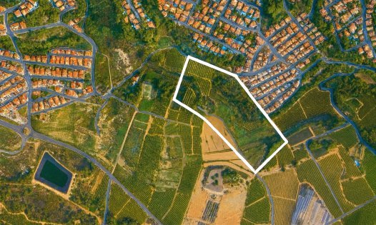 Parcelles - Revente - Pilar de la Horadada - Pinar de Campoverde