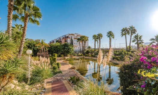 Penthouses - Herverkoop - Orihuela Costa -
                La Zenia