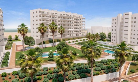 Penthouses - Herverkoop -
            San Miguel de Salinas - SO002-N-D