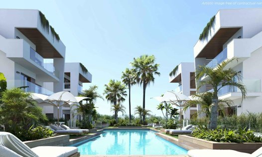 Penthouses - Nouvelle construction - Alcázares, Los - Los Alc&aacute;zares
