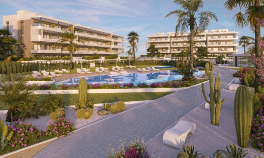 Penthouses - Nouvelle construction - Torrevieja - Torrevieja