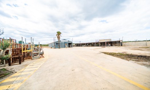 Plots - Resale - Pilar de la Horadada - Pinar de Campoverde