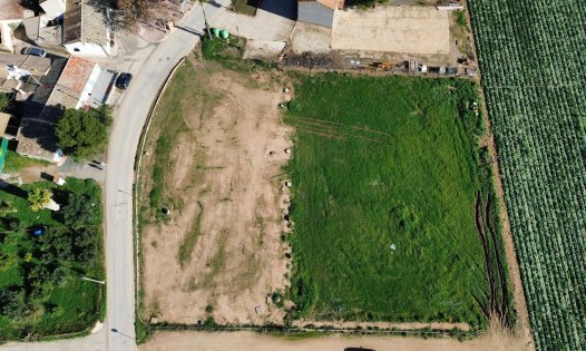 Plots - Resale -
            Torre-Pacheco - JB026