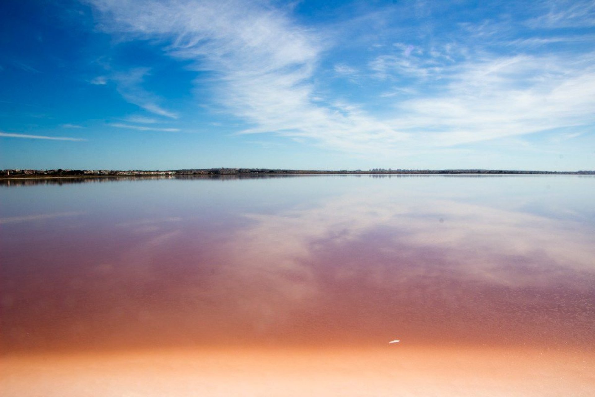 Resale - Bungalows -
Torrevieja - La Veleta - Torrevieja