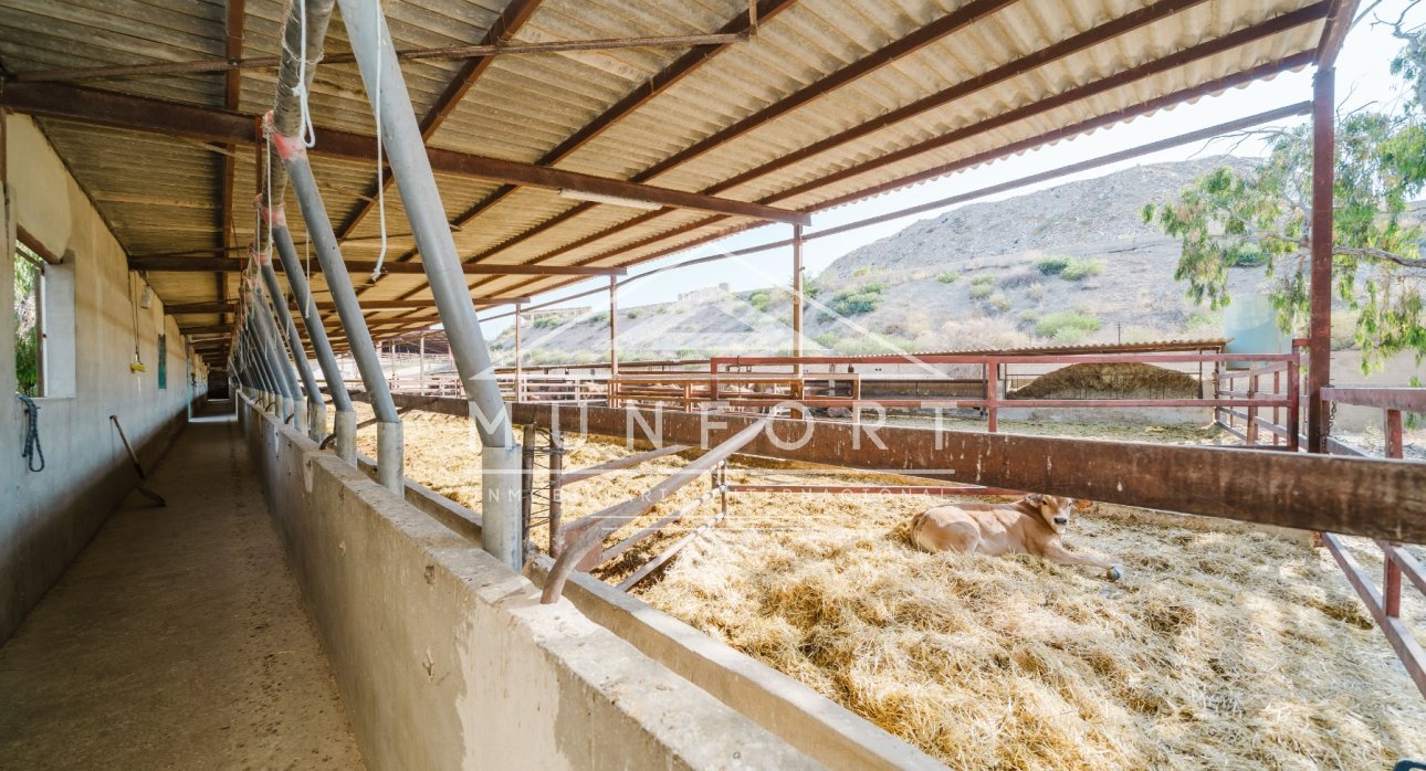 Resale - Commercial premises -
ALICANTE - Alicante