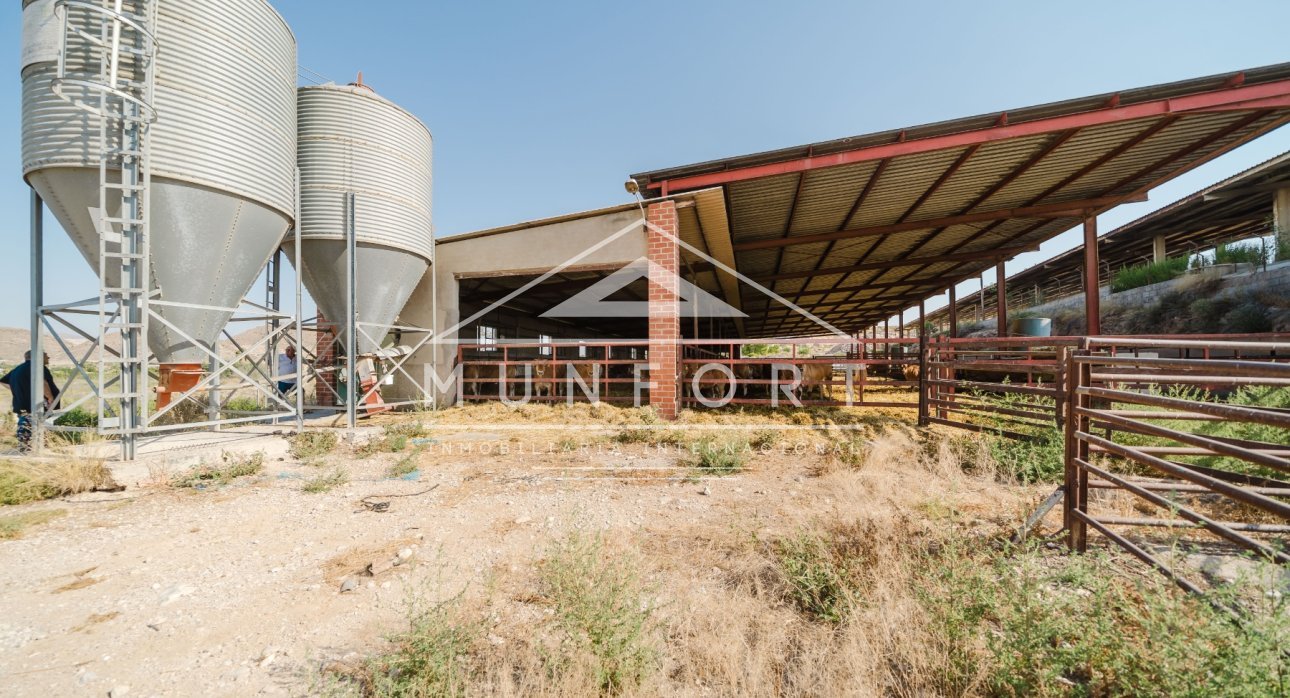 Resale - Commercial premises -
ALICANTE - Alicante