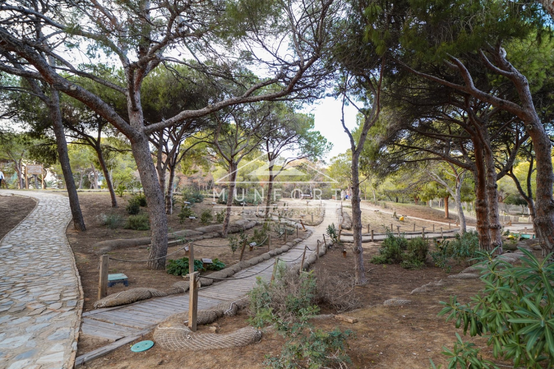 Resale - Commercial premises -
Guardamar del Segura