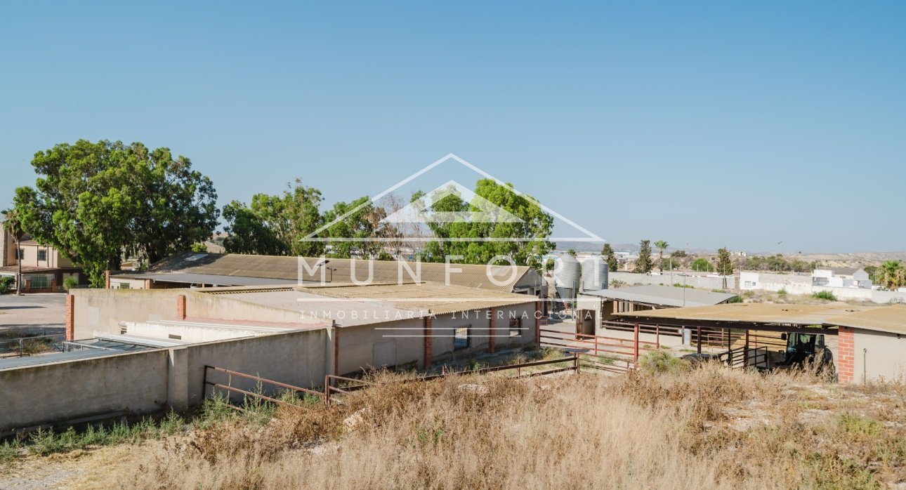 Resale - Country Houses -
ALICANTE - Alicante