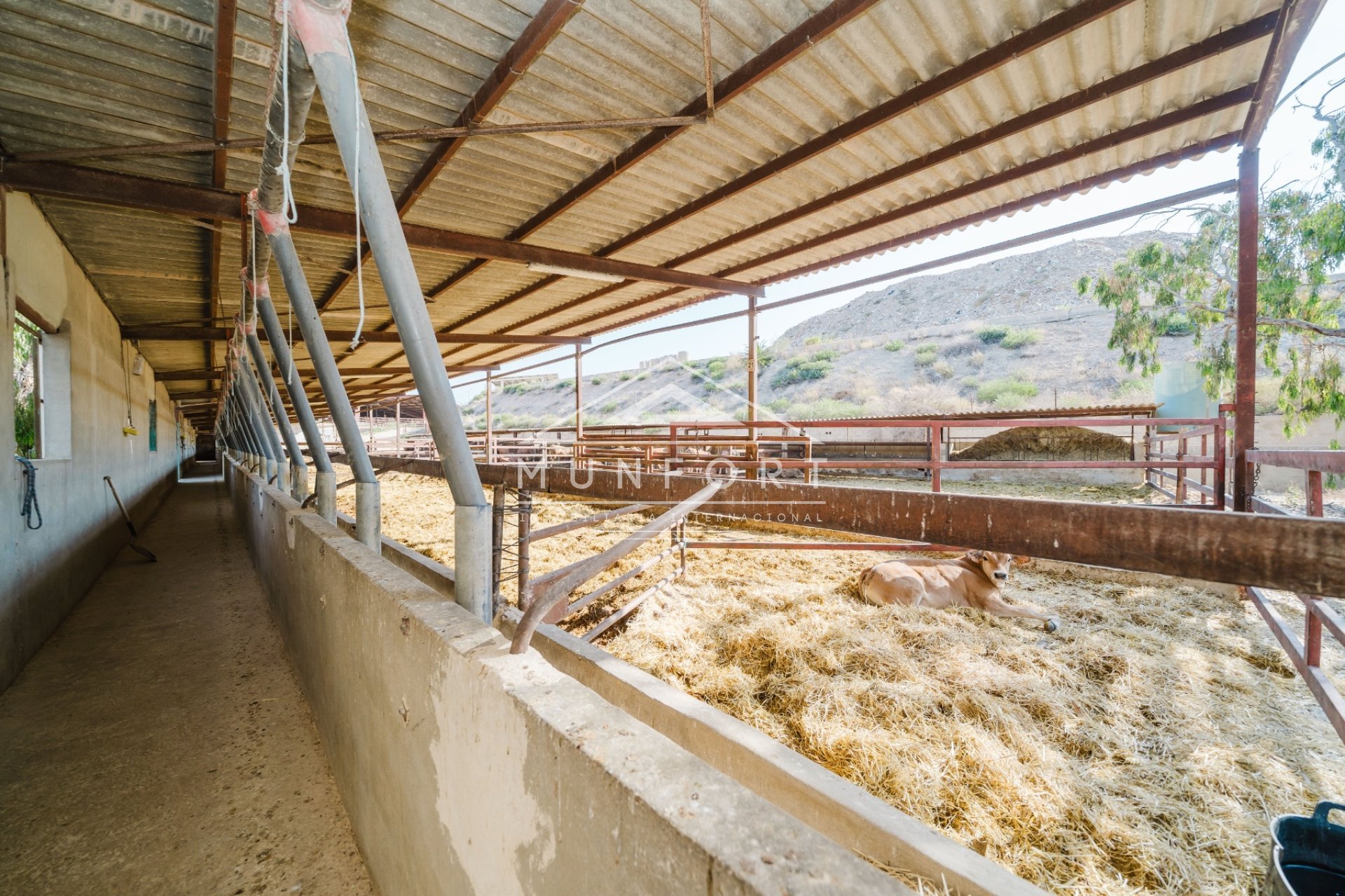 Resale - Country Houses -
ALICANTE - Alicante