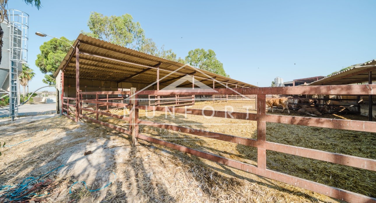 Resale - Country Houses -
ALICANTE - Alicante