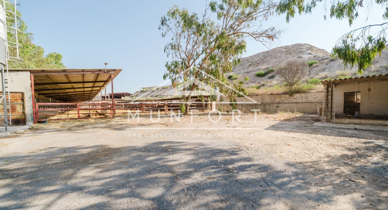 Resale - Country Houses -
ALICANTE - Alicante