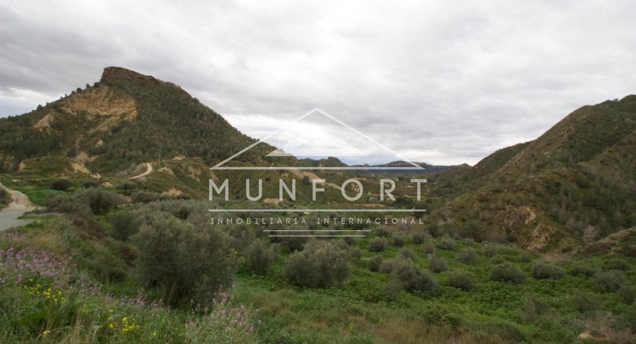 Resale - Plots -
Murcia - GEA Y TRUYOLS