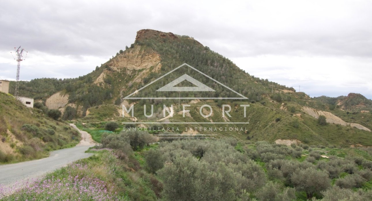 Resale - Plots -
Murcia - GEA Y TRUYOLS