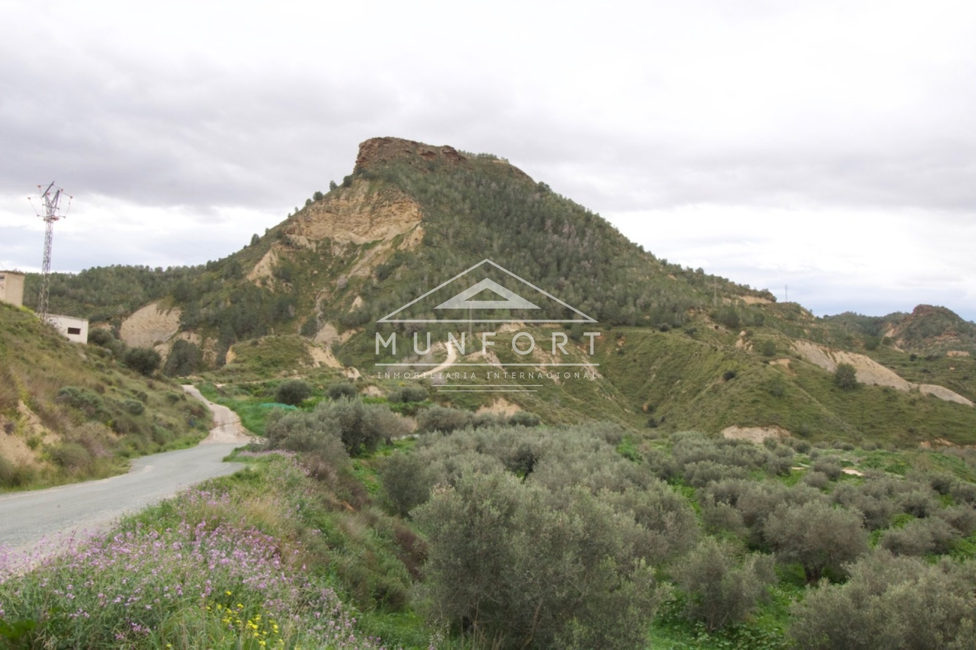 Resale - Plots -
Murcia - GEA Y TRUYOLS