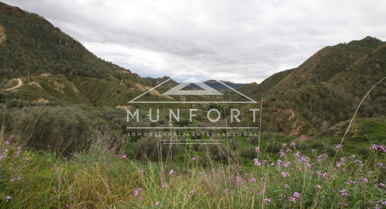 Resale - Plots -
Murcia - GEA Y TRUYOLS