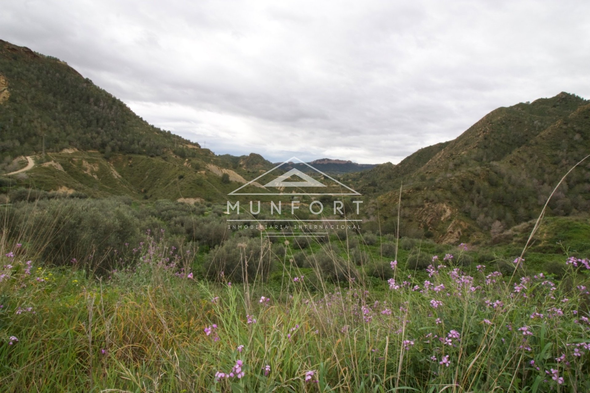 Resale - Plots -
Murcia - GEA Y TRUYOLS