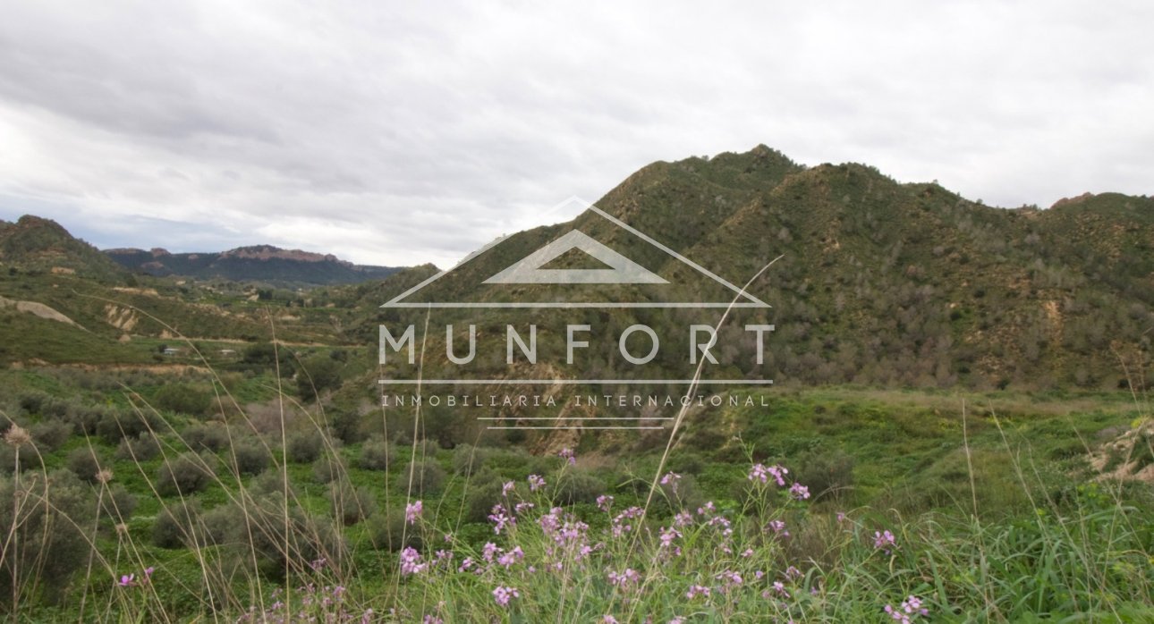 Resale - Plots -
Murcia - GEA Y TRUYOLS