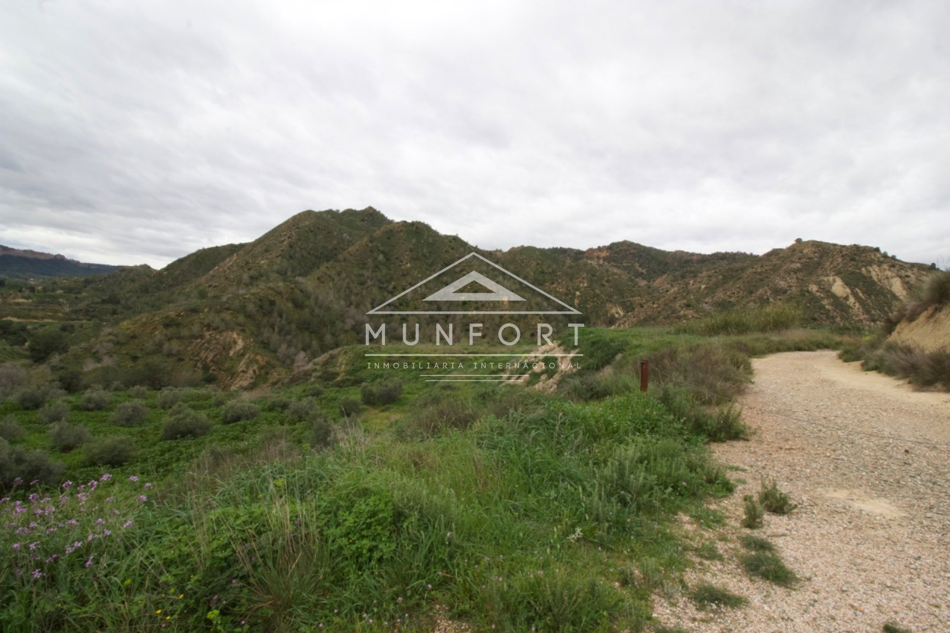 Resale - Plots -
Murcia - GEA Y TRUYOLS