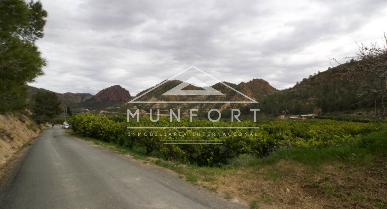 Resale - Plots -
Murcia - GEA Y TRUYOLS