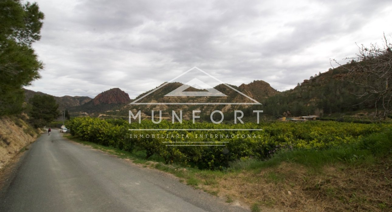 Resale - Plots -
Murcia - GEA Y TRUYOLS