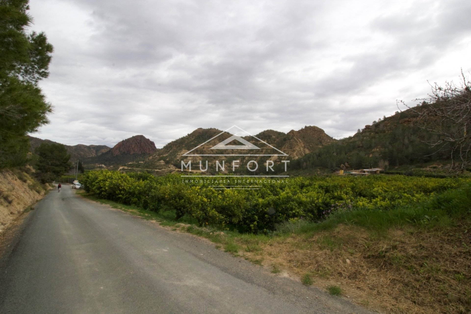 Resale - Plots -
Murcia - GEA Y TRUYOLS