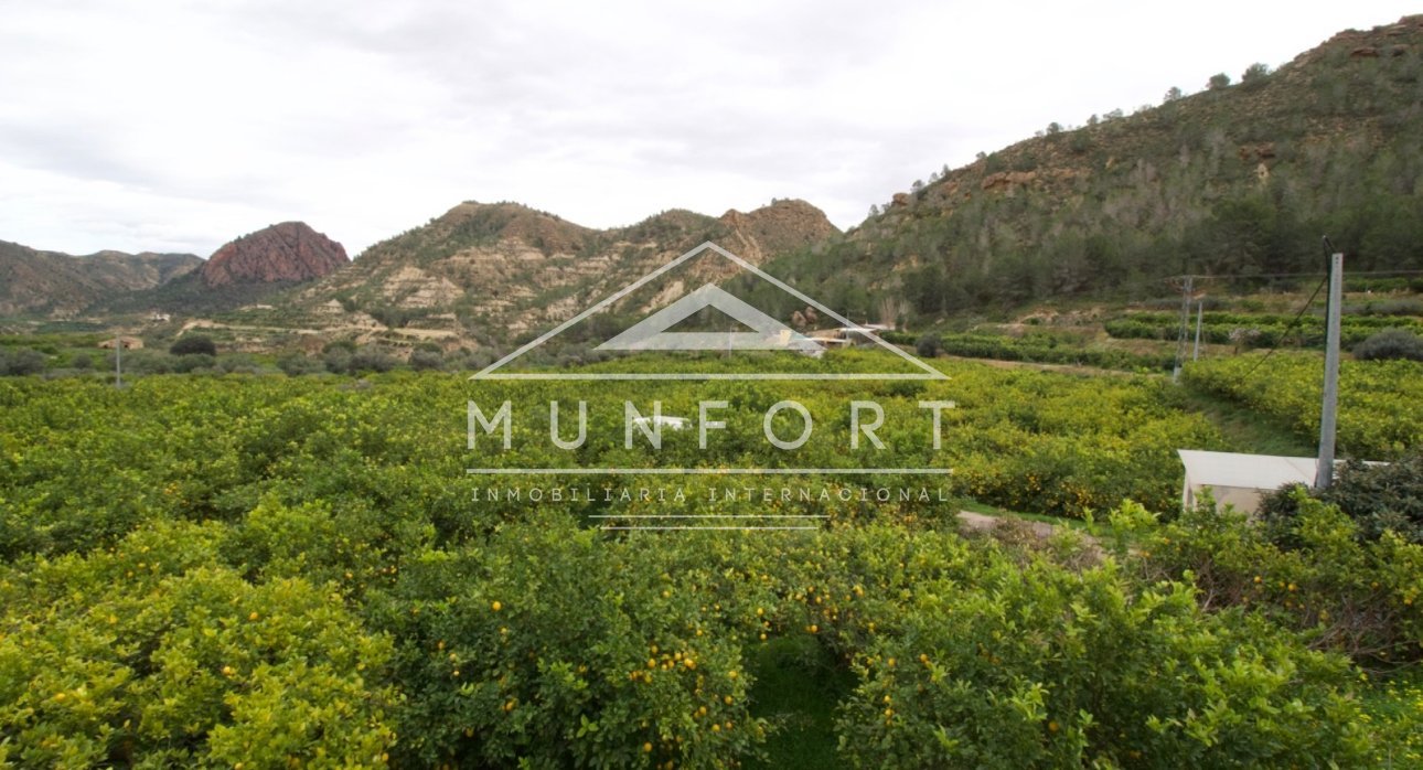 Resale - Plots -
Murcia - GEA Y TRUYOLS