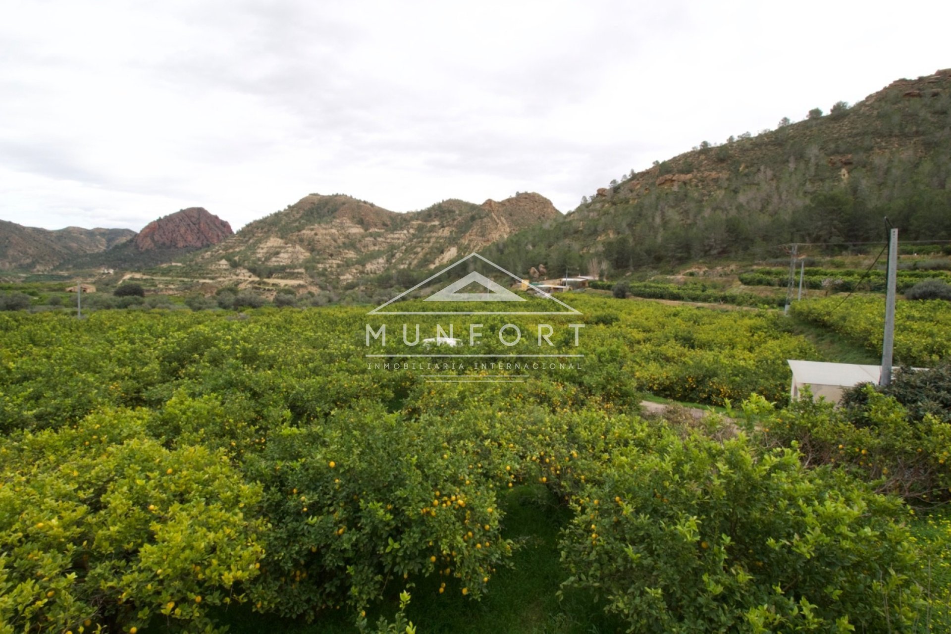 Resale - Plots -
Murcia - GEA Y TRUYOLS