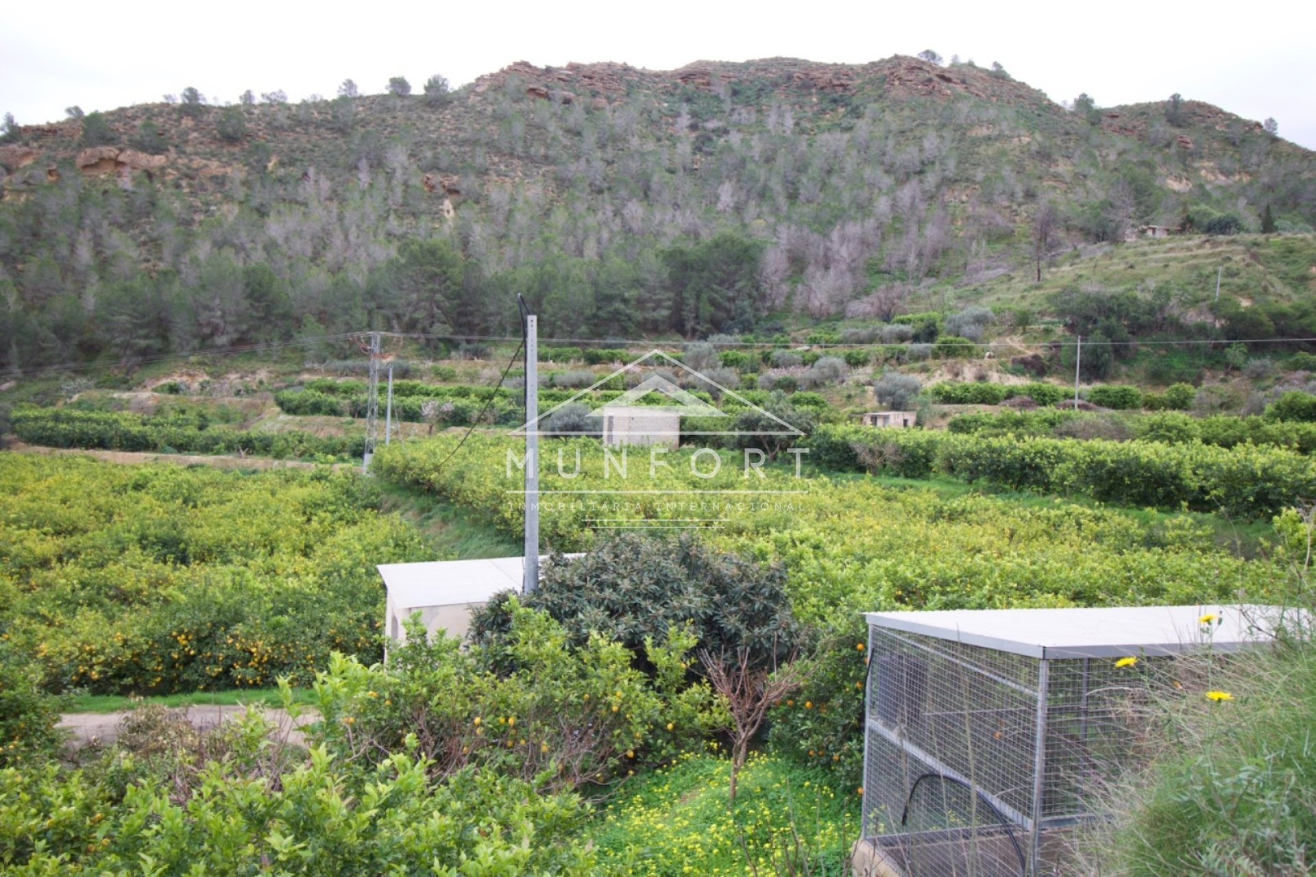 Resale - Plots -
Murcia - GEA Y TRUYOLS