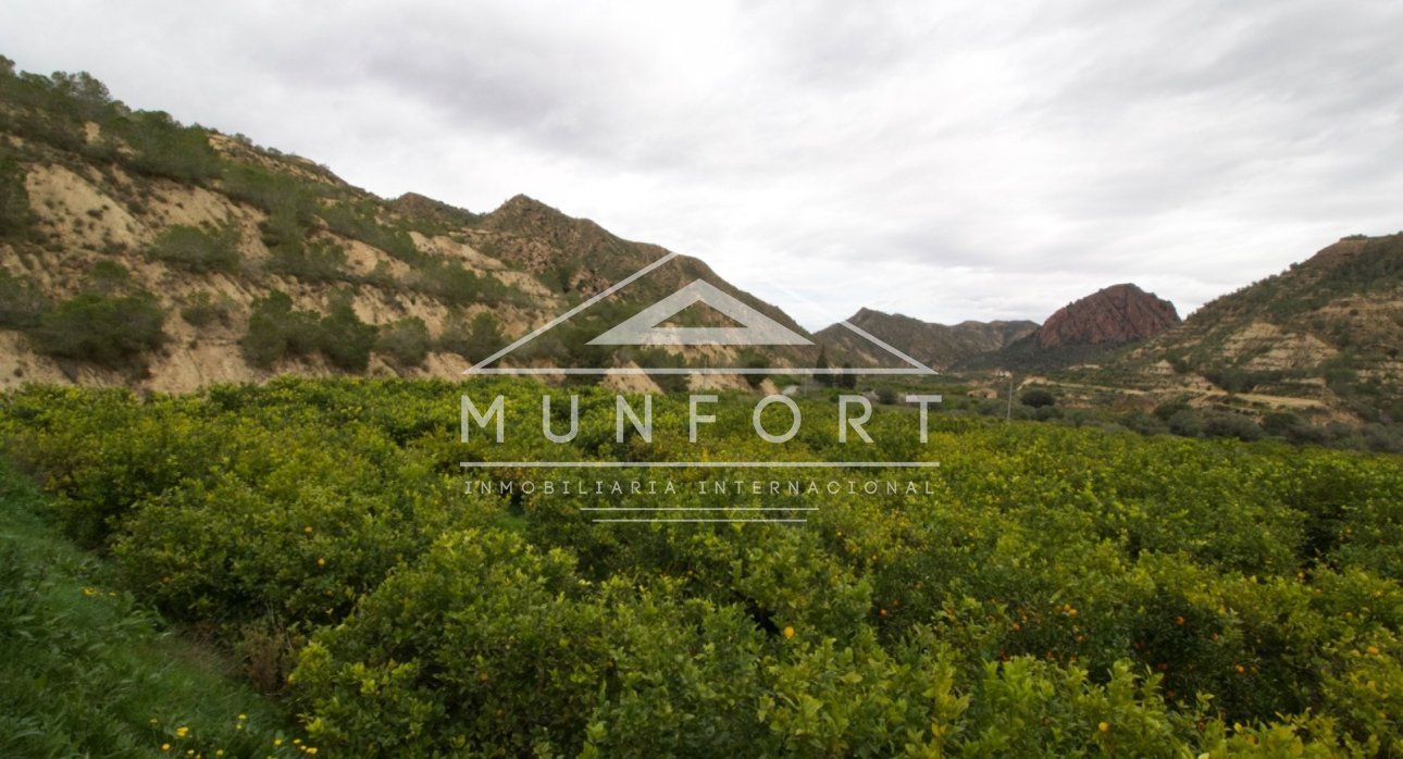 Resale - Plots -
Murcia - GEA Y TRUYOLS