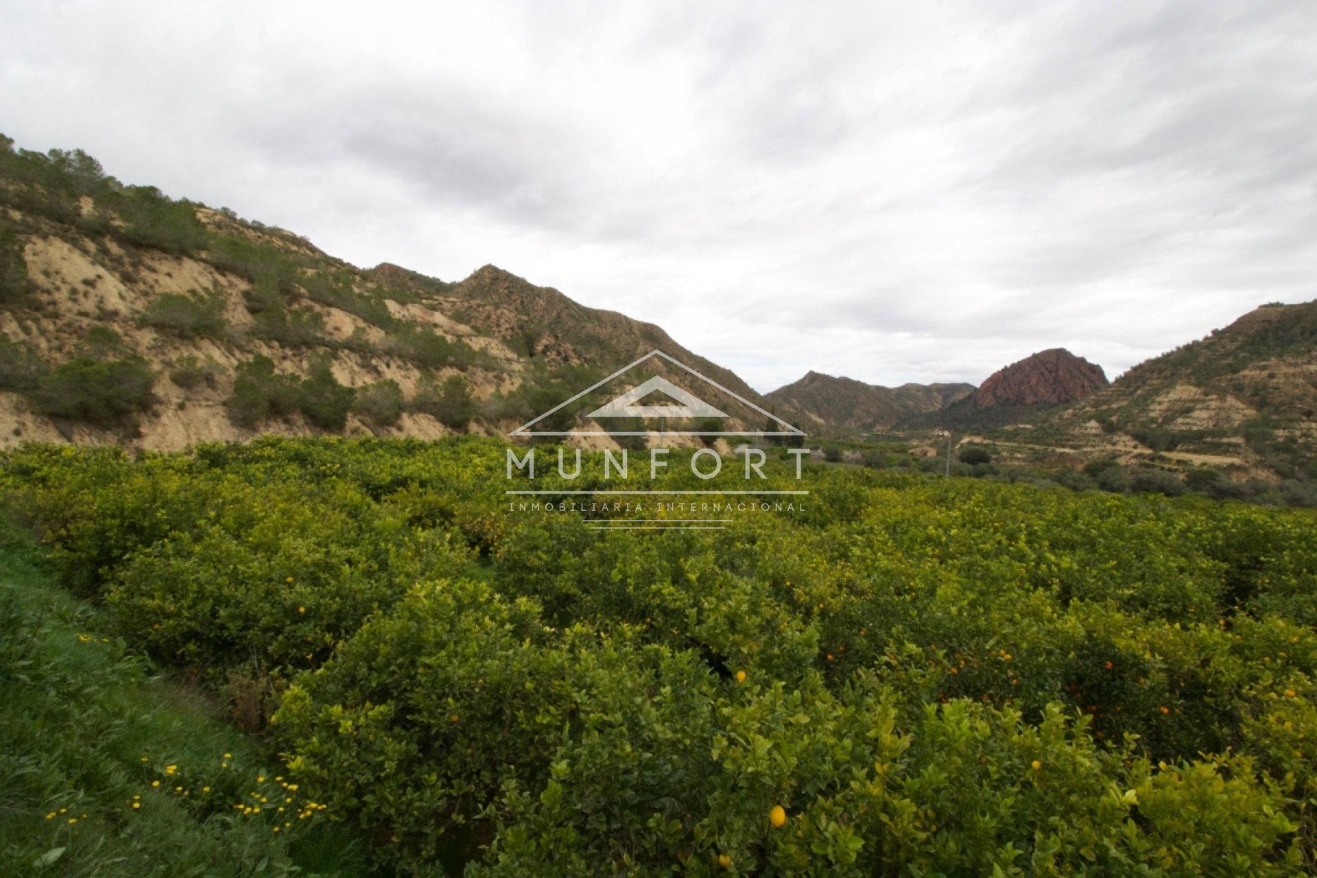 Resale - Plots -
Murcia - GEA Y TRUYOLS