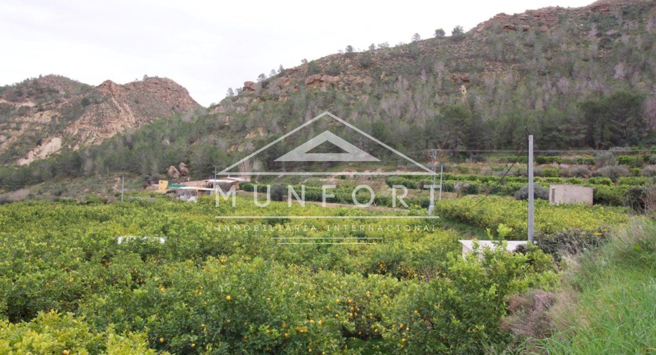 Resale - Plots -
Murcia - GEA Y TRUYOLS