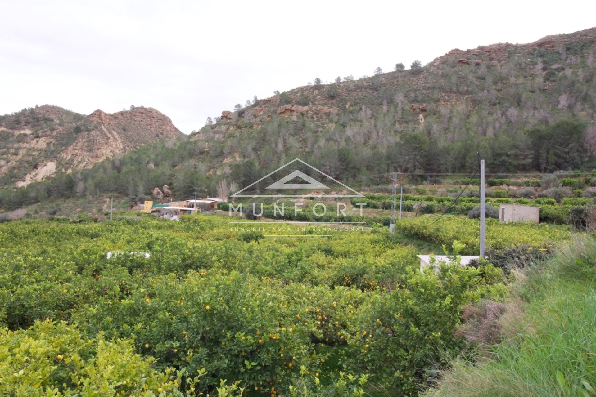 Resale - Plots -
Murcia - GEA Y TRUYOLS