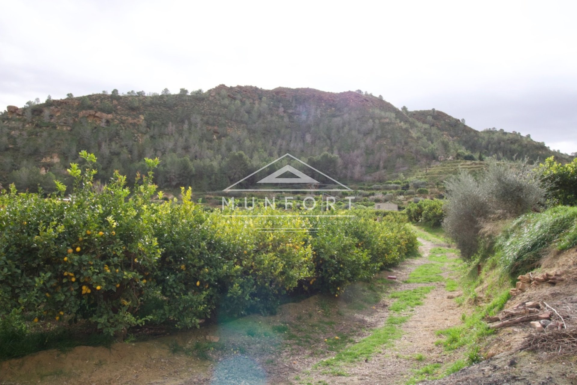 Resale - Plots -
Murcia - GEA Y TRUYOLS