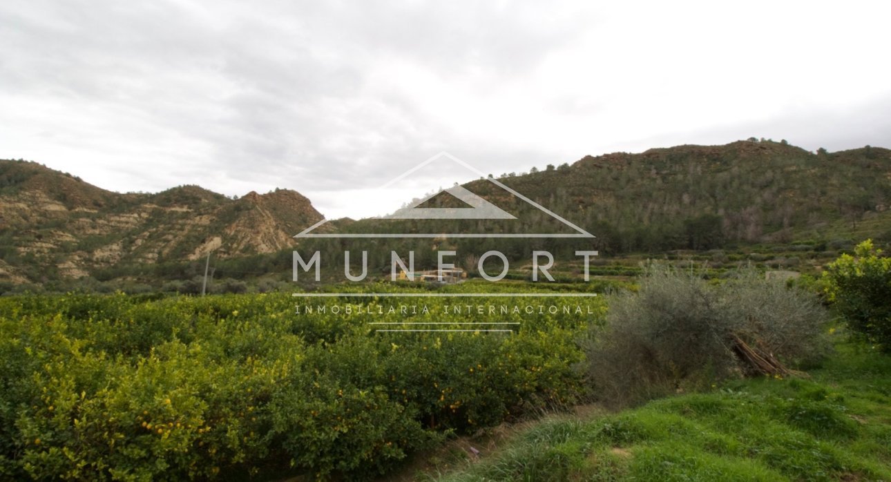 Resale - Plots -
Murcia - GEA Y TRUYOLS