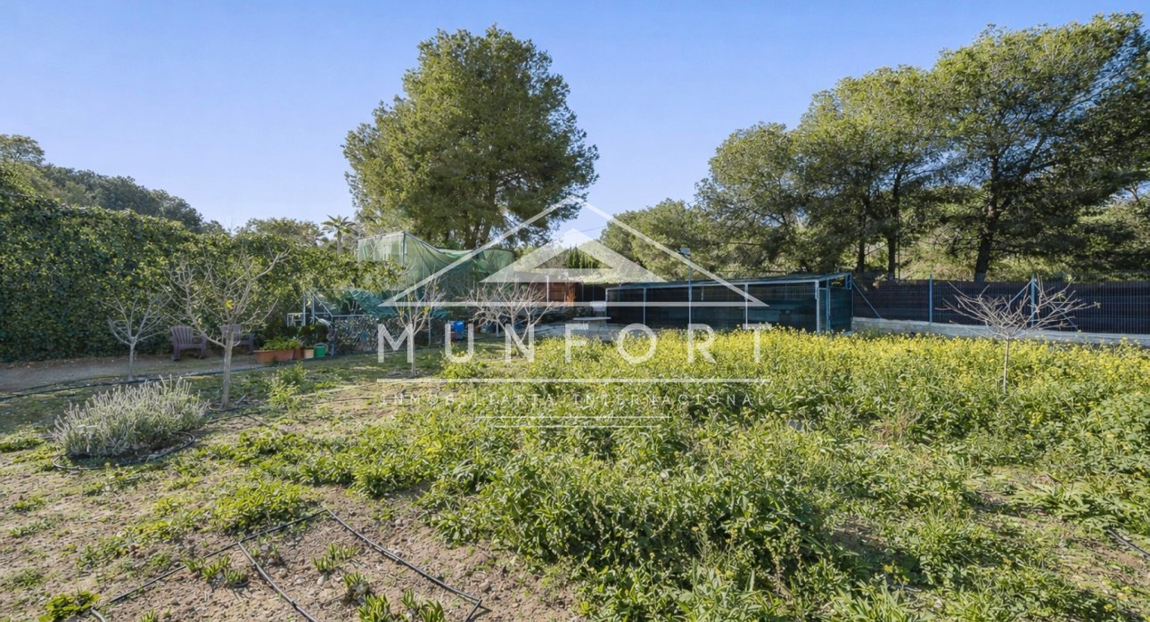 Resale - Plots -
Pilar de la Horadada - Pinar de Campoverde