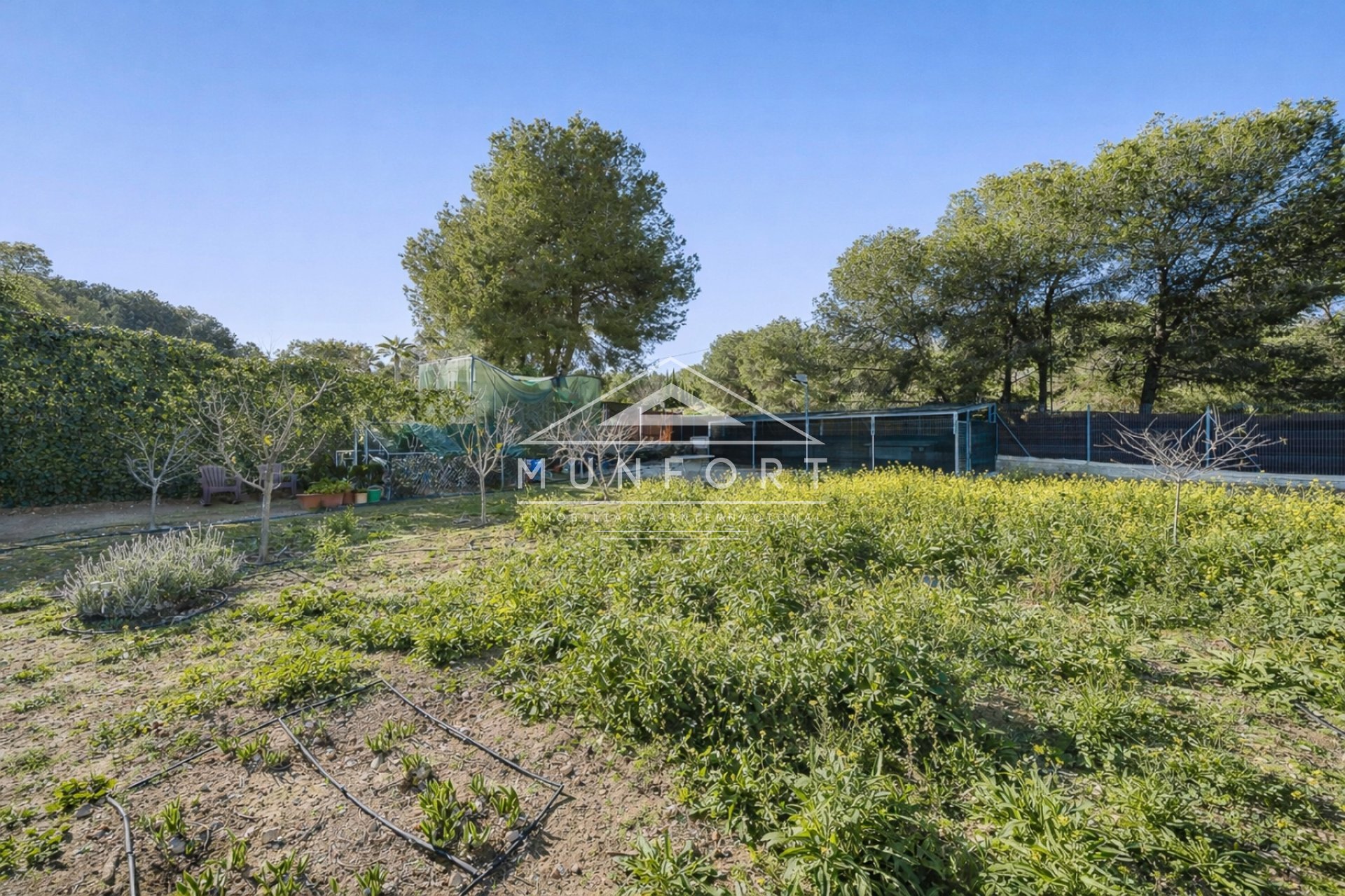 Resale - Plots -
Pilar de la Horadada - Pinar de Campoverde