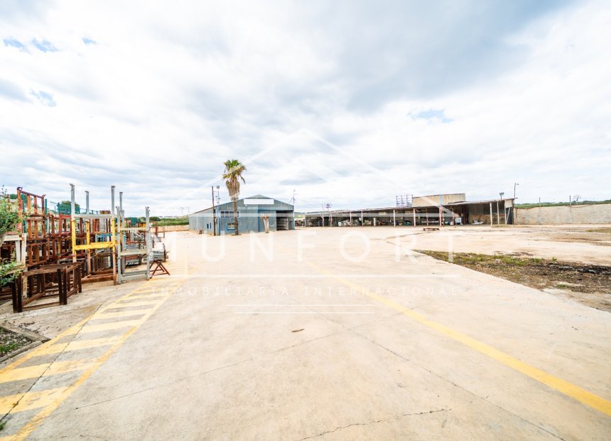 Resale - Plots -
Pilar de la Horadada - Pinar de Campoverde