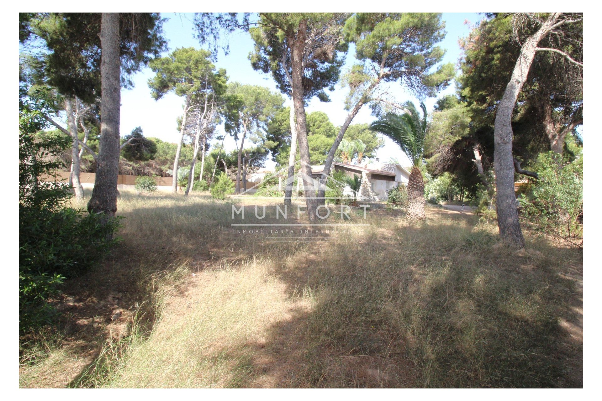 Resale - Plots -
San Pedro del Pinatar