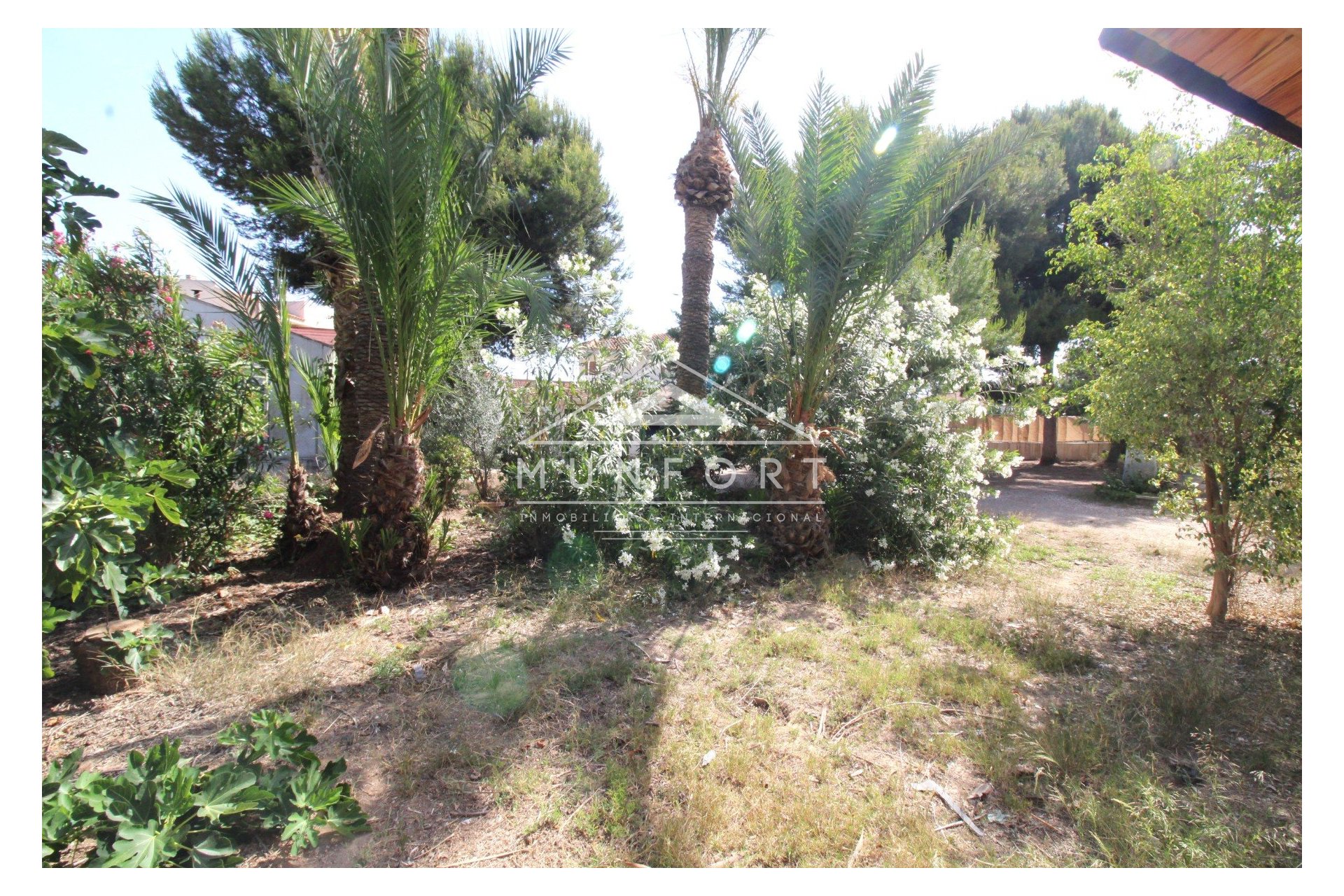 Resale - Plots -
San Pedro del Pinatar