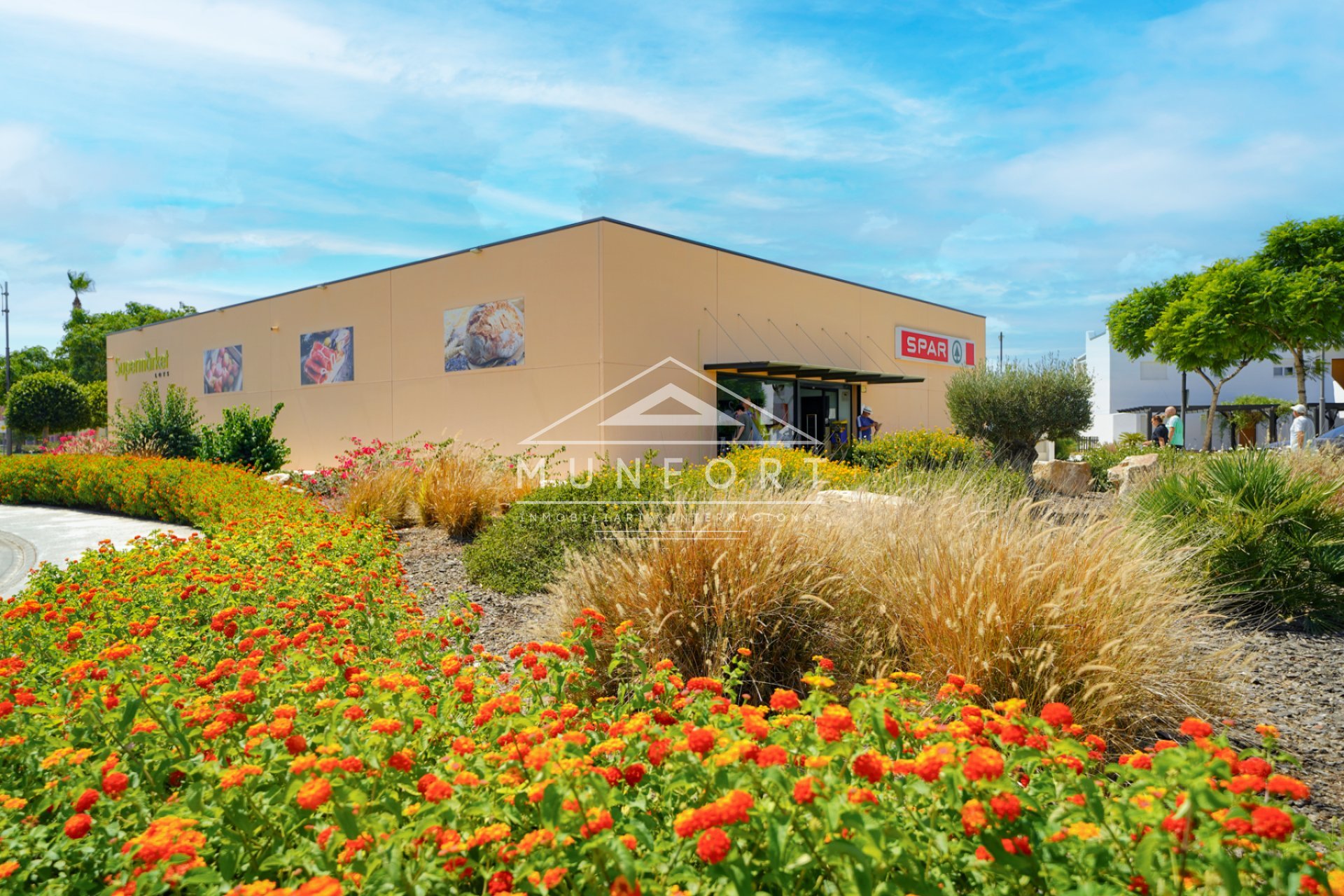 Resale - Plots -
Torre-Pacheco