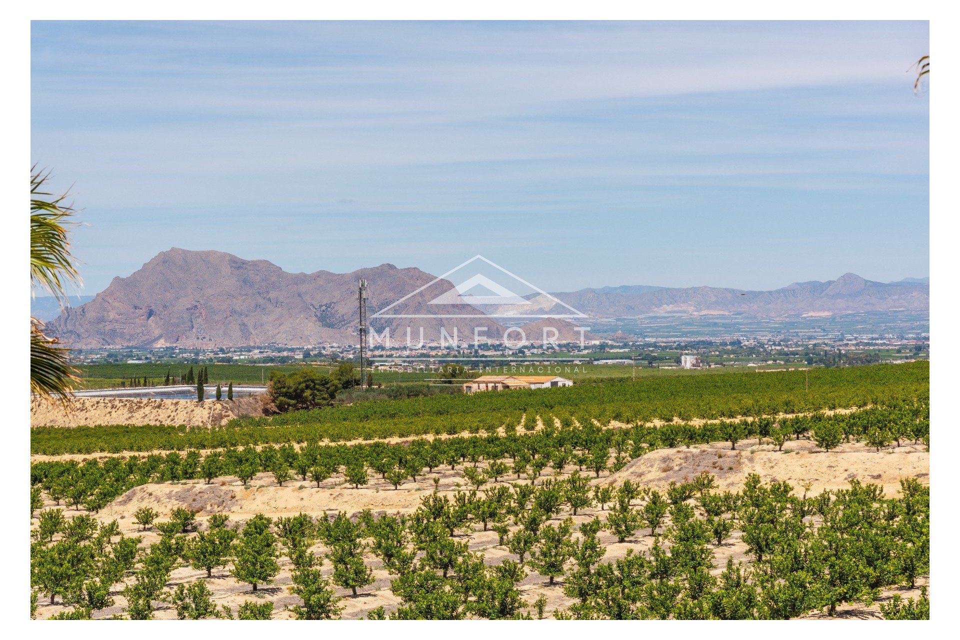 Resale - Villas -
Algorfa