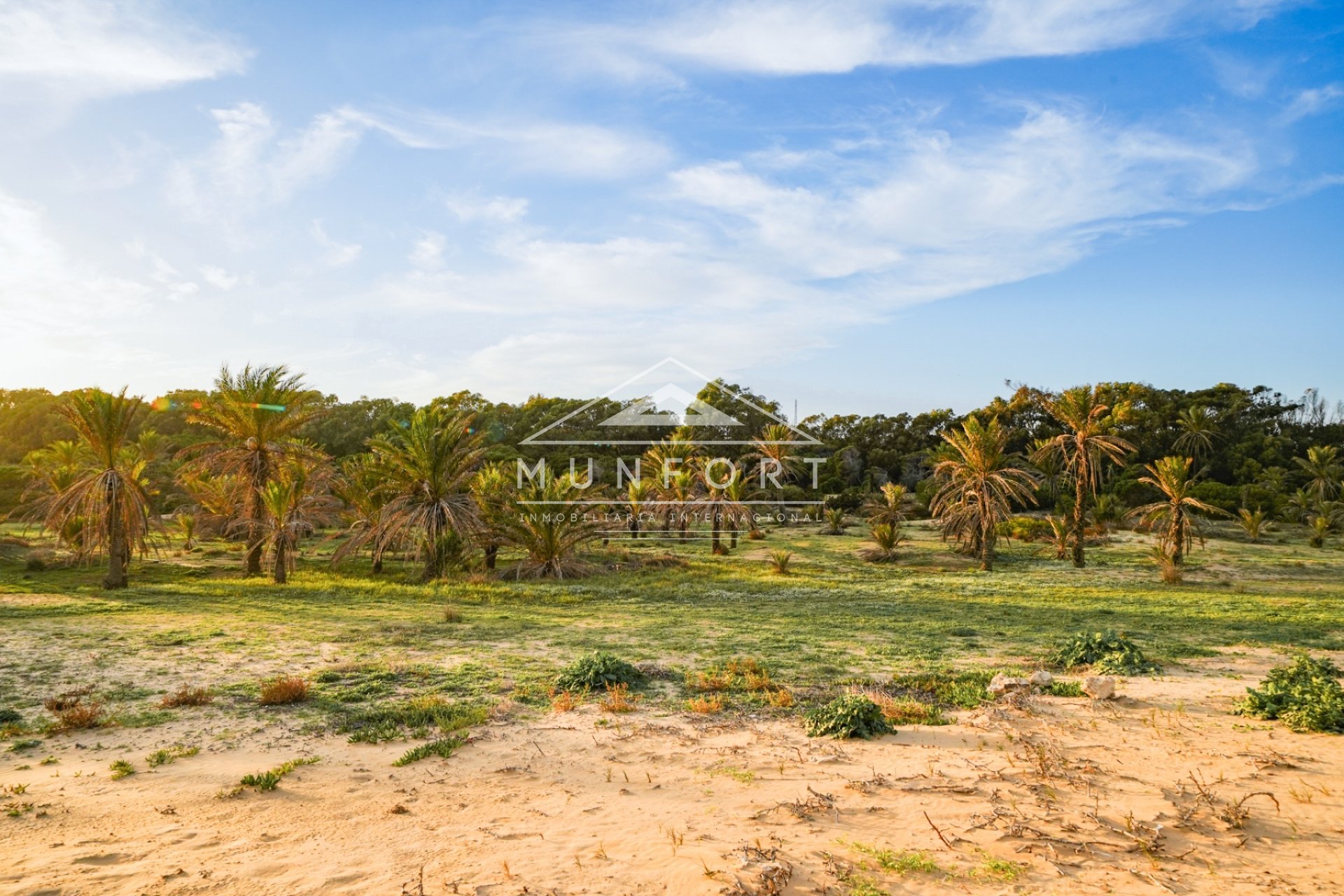 Resale - Villas -
Guardamar del Segura