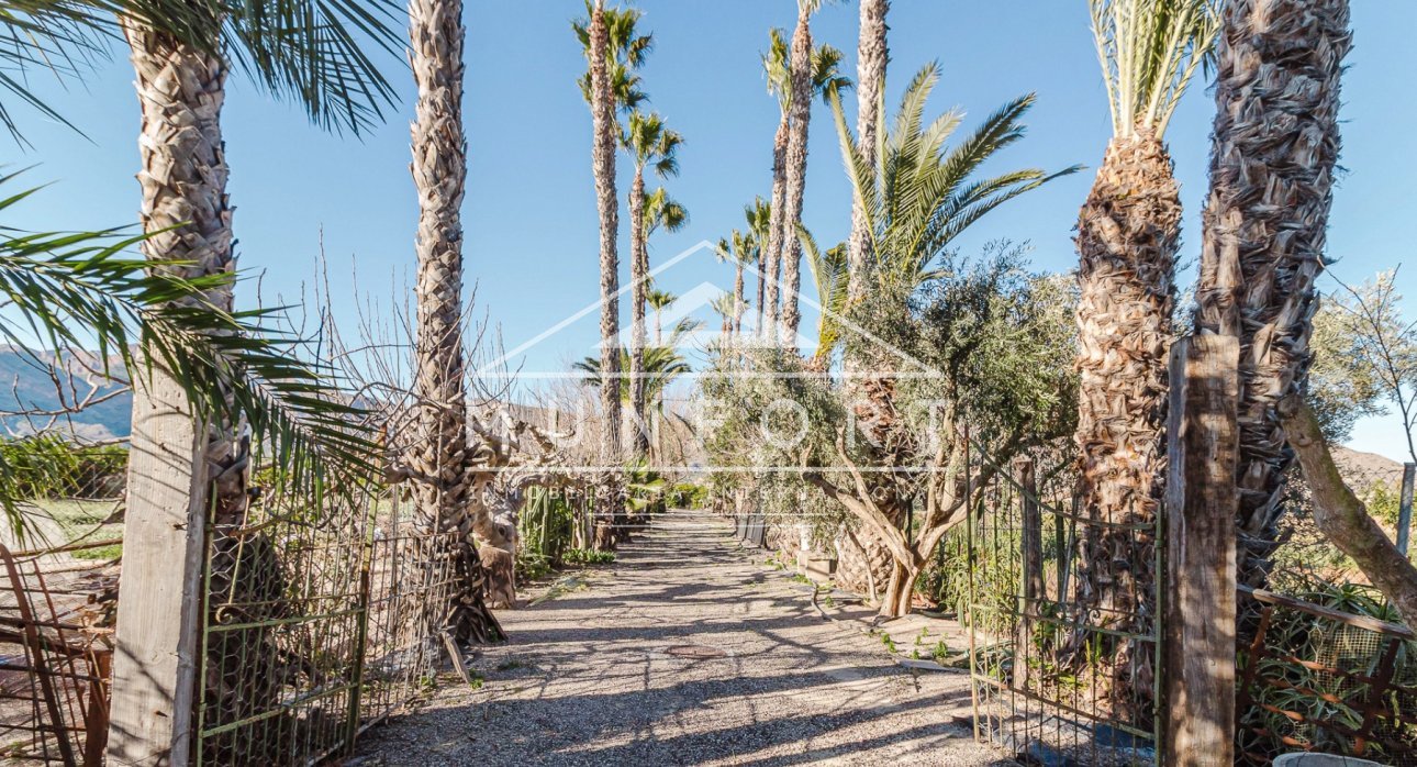 Resale - Villas -
Orihuela