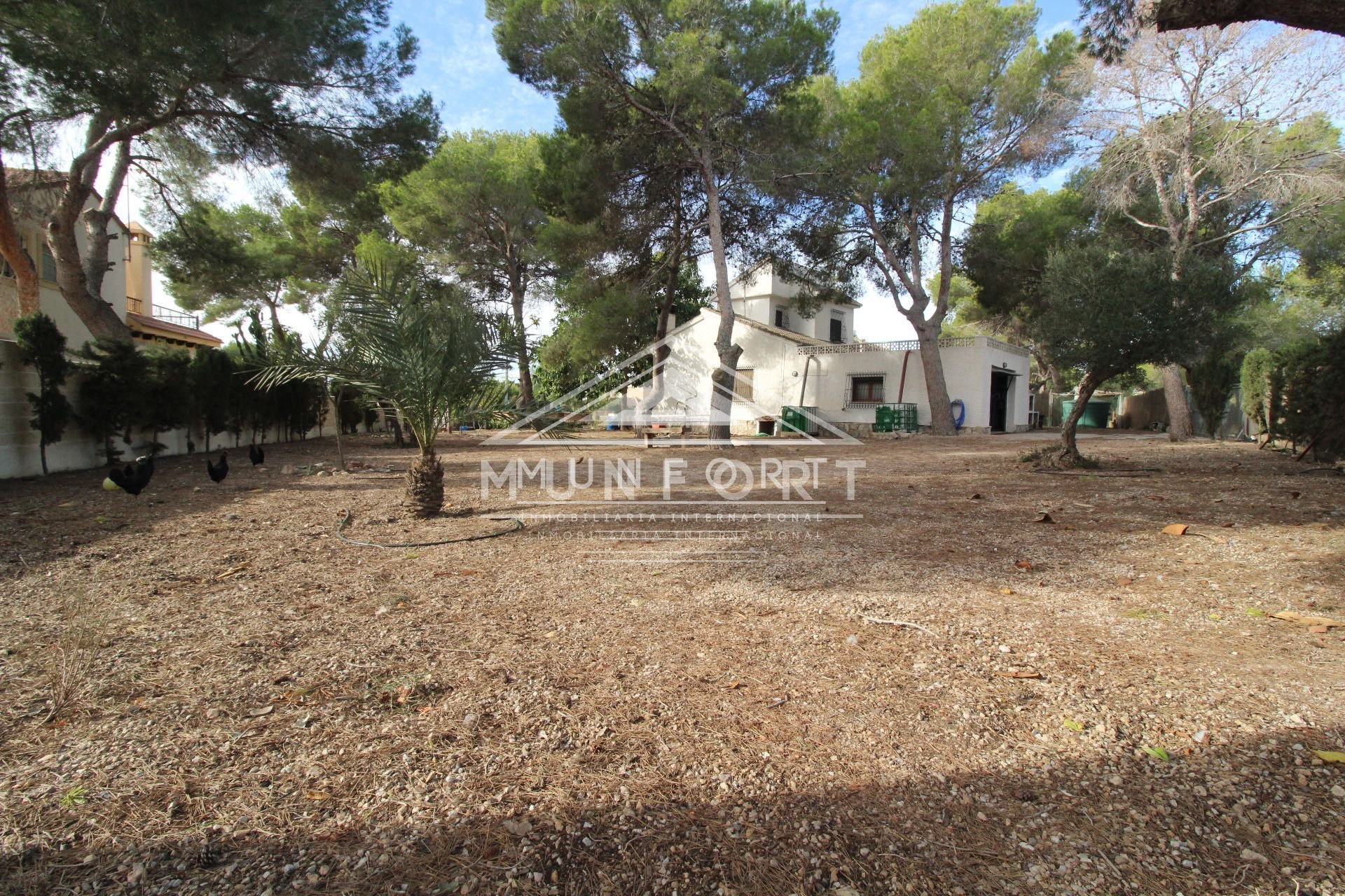Resale - Villas -
Pilar de la Horadada - Pinar de Campoverde